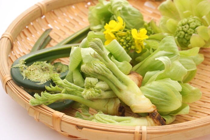 春野菜の特徴は苦味。デトックス効果が高いと言われている