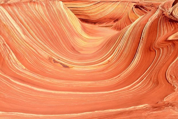 かねてから興味があったアメリカの秘境、ザ・ウェーブ。美しい波模様を描く砂岩層だ（写真：吉田利栄さん提供）