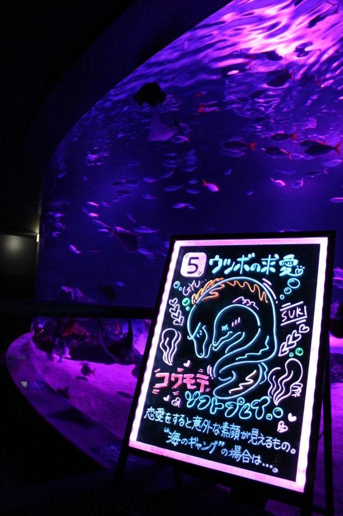 「もっと●性いっぱい展」（●はハートマーク）は東京・池袋のサンシャイン水族館で１１月５日まで開催中（１８時半から２２時）（撮影／編集部・高橋有紀）
