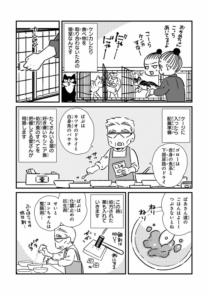  『お世話させていただきます！ 犬猫保護施設の奮闘記』（漫画／オノユウリ　原作／塩田妙玄　アサコミ）より