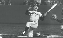 山田太郎様キャノピー 山田太郎様キャノピー