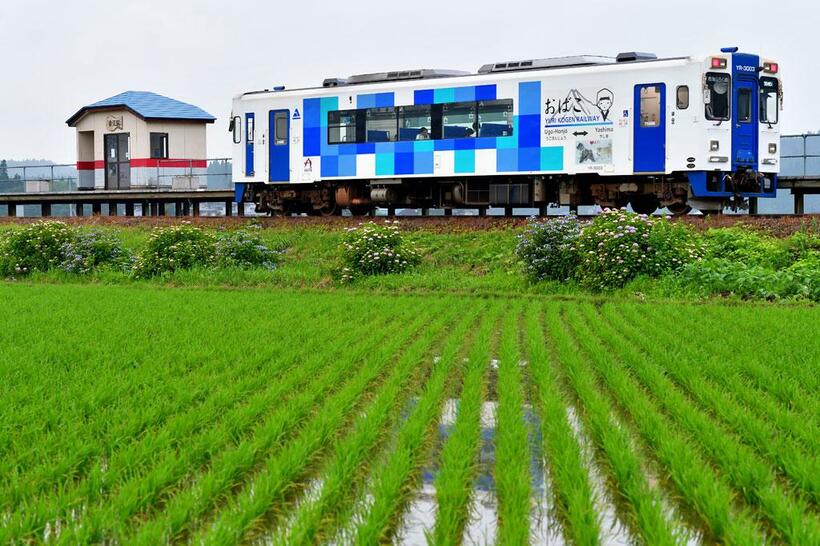 曲沢駅　由利高原鉄道　鳥海山ろく線［秋田県］／一面に広がる田んぼの中にポツンとたたずむ駅。「秘境駅数あれどなぜここに？」感満載のスーパー秘境駅（写真：由利高原鉄道提供）