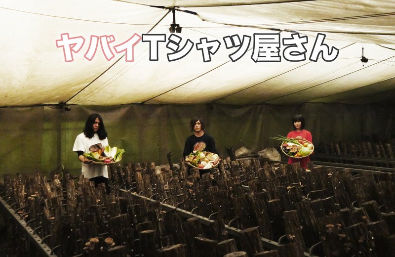 ヤバイTシャツ屋さん、3rdアルバム『Tank-top Festival in JAPAN』リリース決定