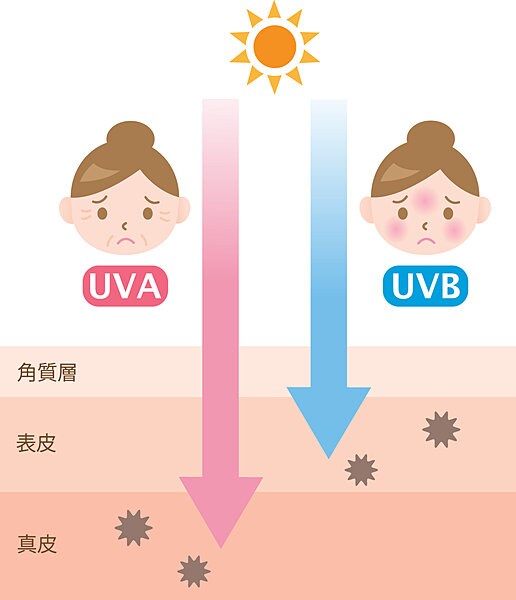 紫外線はシワ・シミだけでなく、頭皮の劣化の原因にも