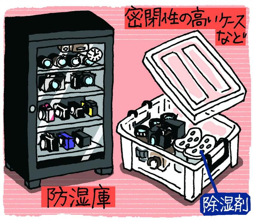 防湿庫もいいが、数が多くなるとどこに何を収納したかわかりづらくなってしまう。透明のケースを利用すれば一目で見つけられる(イラスト/やまもと妹子)