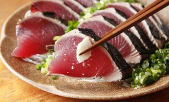 60代はまだ若手 カツオ漁の町の暮らしでわかった生涯現役の秘訣