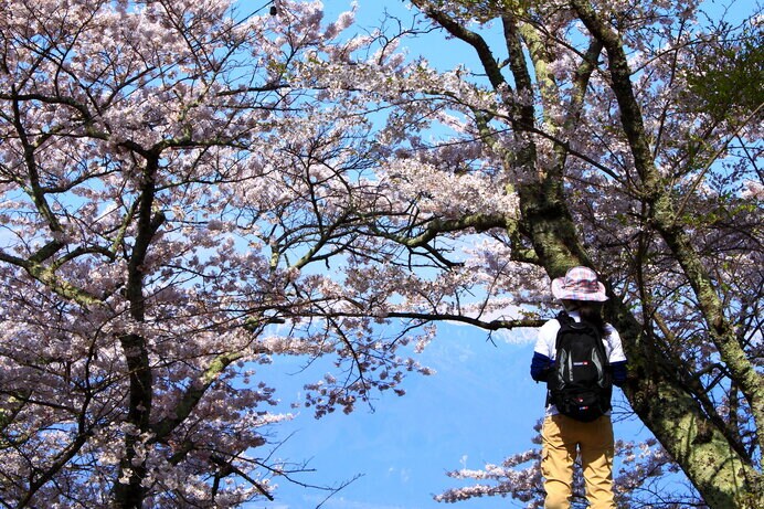 春ならではの景色を探しに行こう