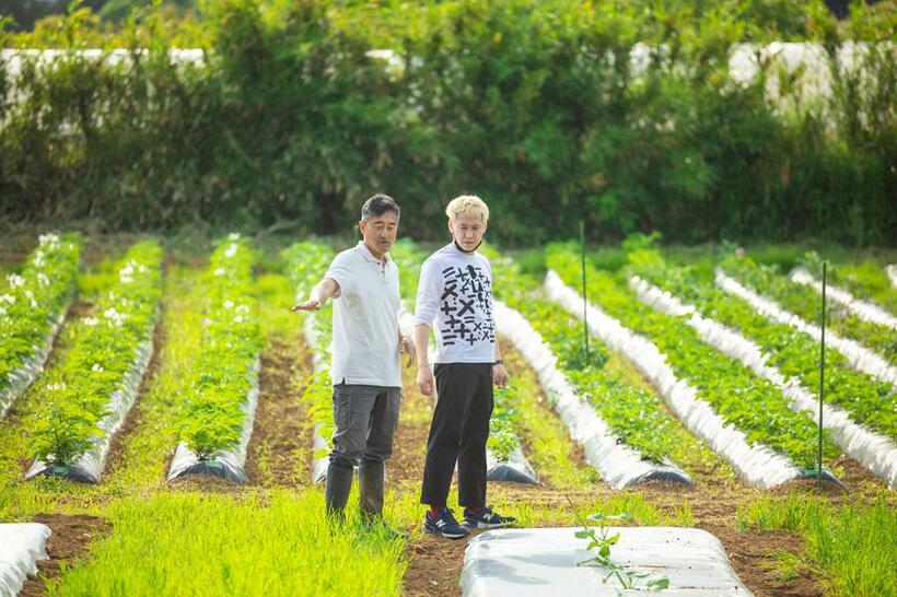 一時帰国したこの日、静岡県三島市にある「フードカルチャー・ルネサンス」の代表・鈴木達也（左）の案内で農地へ。無農薬無肥料で育てられる野菜は、約３００種類。御殿場「Ｍａｉｓｏｎ　ＫＥＩ」でも使われている（写真＝今村拓馬）