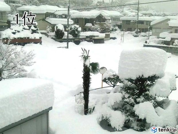 １位　関東甲信を中心に２週連続の記録的な大雪（一般財団法人日本気象協会提供）