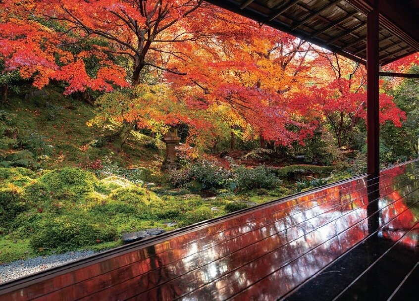 瑠璃光院/有名すぎる書院2階からの紅葉だけでなく、三条実美が命名した茶室「喜鶴亭」の前庭とぴかぴかの廊下に移る紅葉も素敵