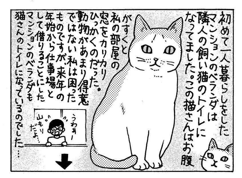 イラスト/田房永子