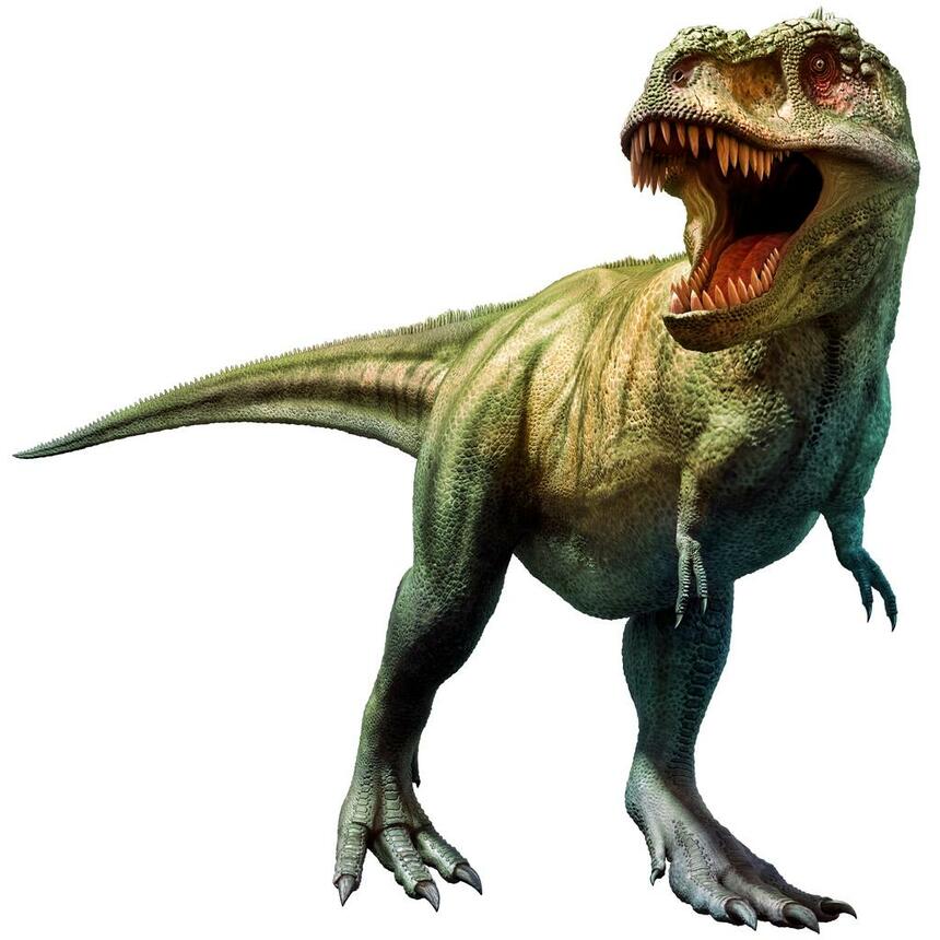 鳥類に近いティラノサウルスは、下あごに病気が原因と思われる穴が見られるものが多数発見されている。これはトリコモナス病という、鳥の伝染性感染症の跡にとても似ているという（写真／iStock）