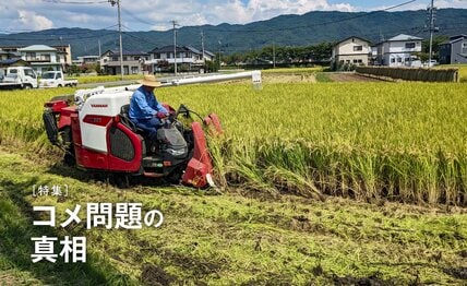 コメ騒動に「米が高いのは米不足だから」と現場の声 　  農水省が強弁「流通・JA悪玉論」のナンセンス
