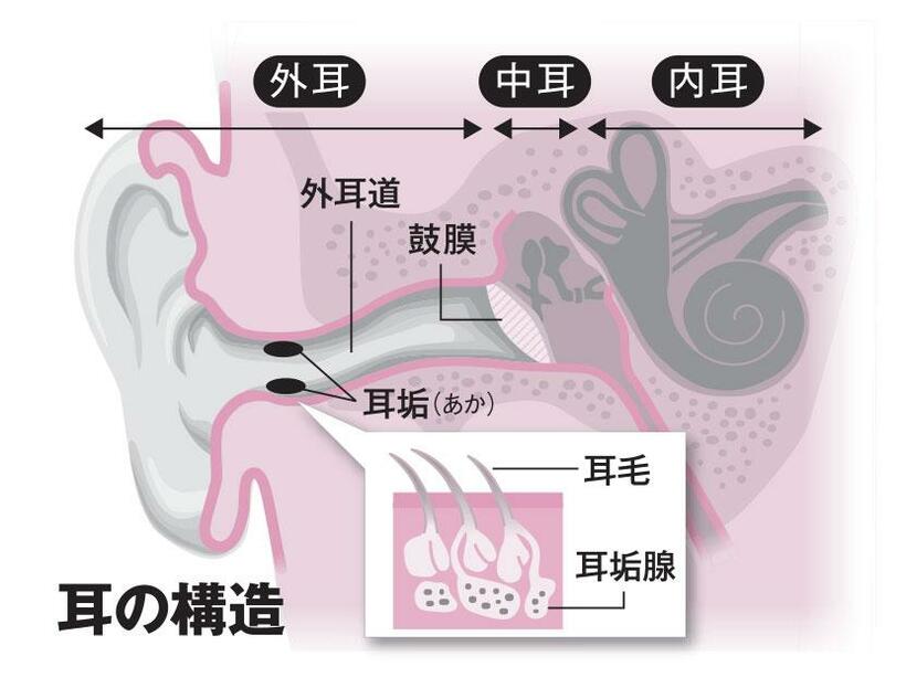 ＡＥＲＡ　２０２２年３月１４日号より