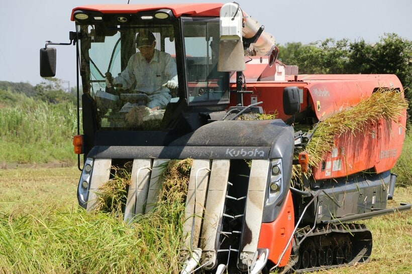 千葉県では早場米の収穫が始まった＝米倉昭仁撮影