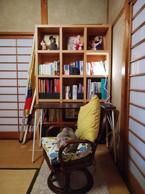 落ち着く勉強スペースが完成。猫ちゃんの居場所にも/アフター