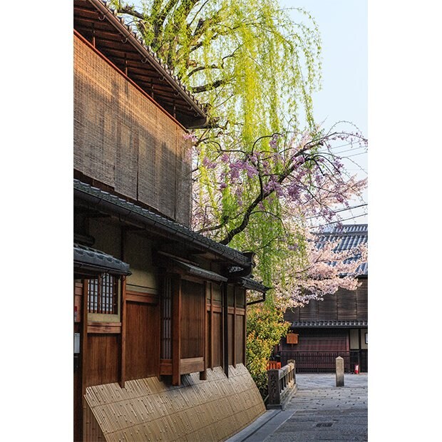 祇園・切通し　2泊3日撮影旅行「春の京都を撮る」から　撮影：中田昭