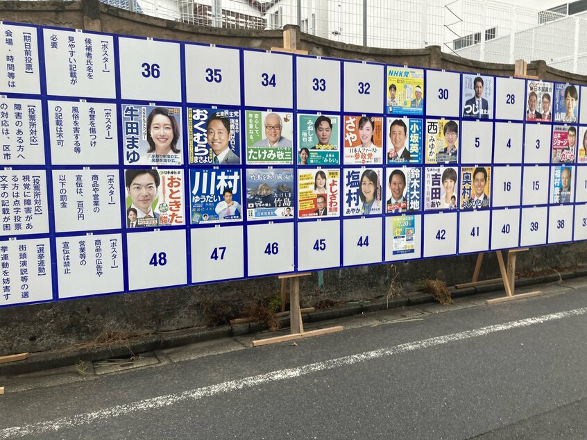 最近、選挙は心の最も暗い部分をあぶり出す装置になった感じがして非常に気が重い(写真/本人提供)
