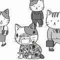 もし「自分は孤独かもしれない」と思ったら、読んでください。 元自衛官のぱやぱやくんの「おひとりさま」のススメ 元幹部自衛官が教える人間関係のサバイバル術