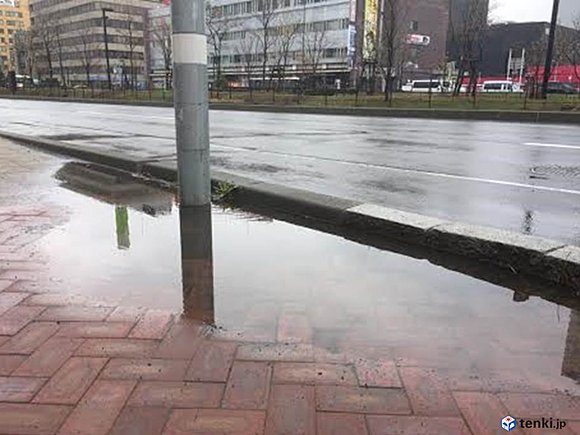 札幌中心部道路わきの水たまり　撮影　日本気象協会北海道支社　杉山友衣可