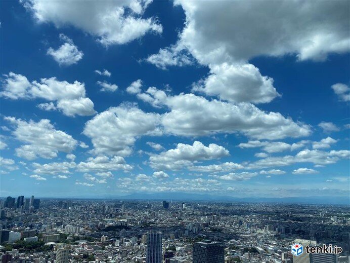 モコモコした積雲　綿雲とも呼ばれます