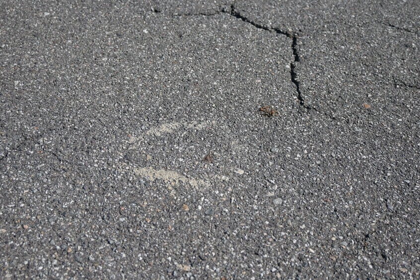 被害があった現場の前の道路に残ったクマとみられる足跡=2023年10月31日、富山市