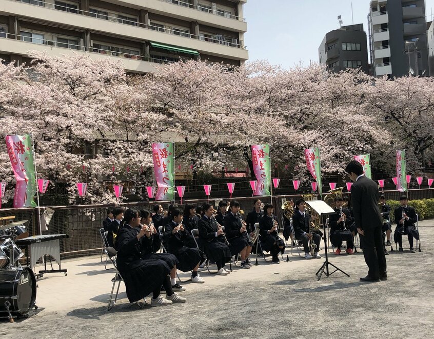 東京・目黒川の桜まつり=めぐろ観光まちづくり協会提供