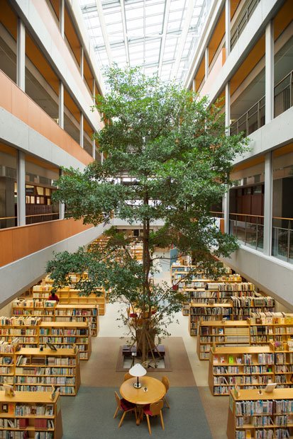 メディアセンター中央のアトリウムは、４階までの吹き抜けで、シンボルツリーのガジュマルが茂る（撮影／写真部・堀内慶太郎）