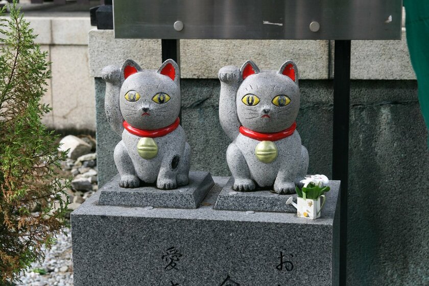 今戸神社拝殿前にある招き猫。ケータイの待ち受け画面にすると運がよくなると言われている