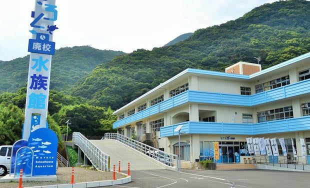 オープン3カ月半で来館者数4万人超え！ 高知のむろと廃校水族館の魅力 | AERA dot. (アエラドット)