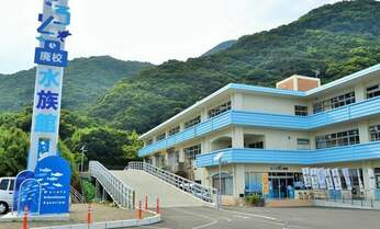 オープン3カ月半で来館者数4万人超え! 高知のむろと廃校水族館の魅力