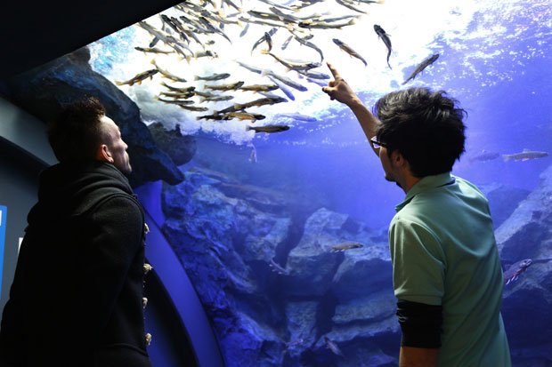 北海道北見市にある北の大地の水族館を訪問。ここは北海道の川魚だけを集めた別名「山の水族館」。この旅では博物館や水族館も数多く訪問した（撮影／たかはしじゅんいち）