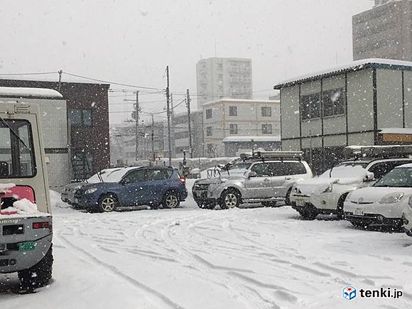 札幌も雪強まる（2018年2月11日）　撮影：日本気象協会北海道支社　岡本肇