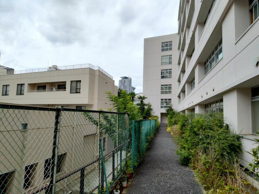 右が桜蔭学園の校舎。フェンスを隔てて左側がマンション敷地で、かなり隣接している(撮影/國府田英之)