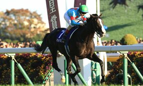 〈きょうジャパンカップ〉イクイノックスだけじゃない!衝撃レコード記録した名馬たち 3歳時に“怪物馬”に迫ったのは