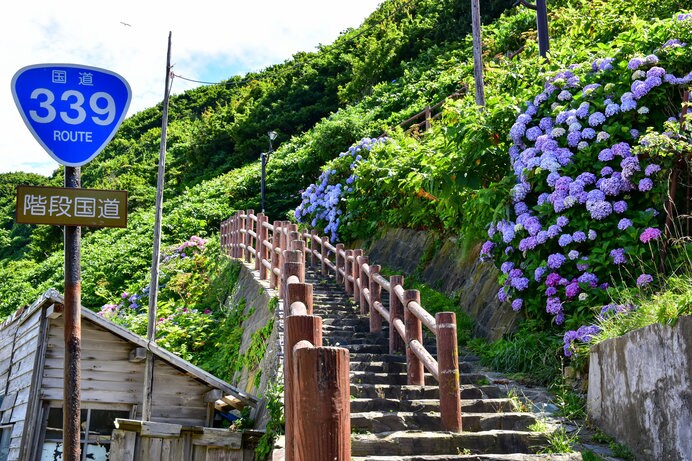 日本随一の珍しい国道、階段国道