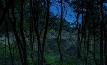 産業廃棄物と建設残土の山に隠された「自然の本質」を撮る写真家・齊藤小弥太