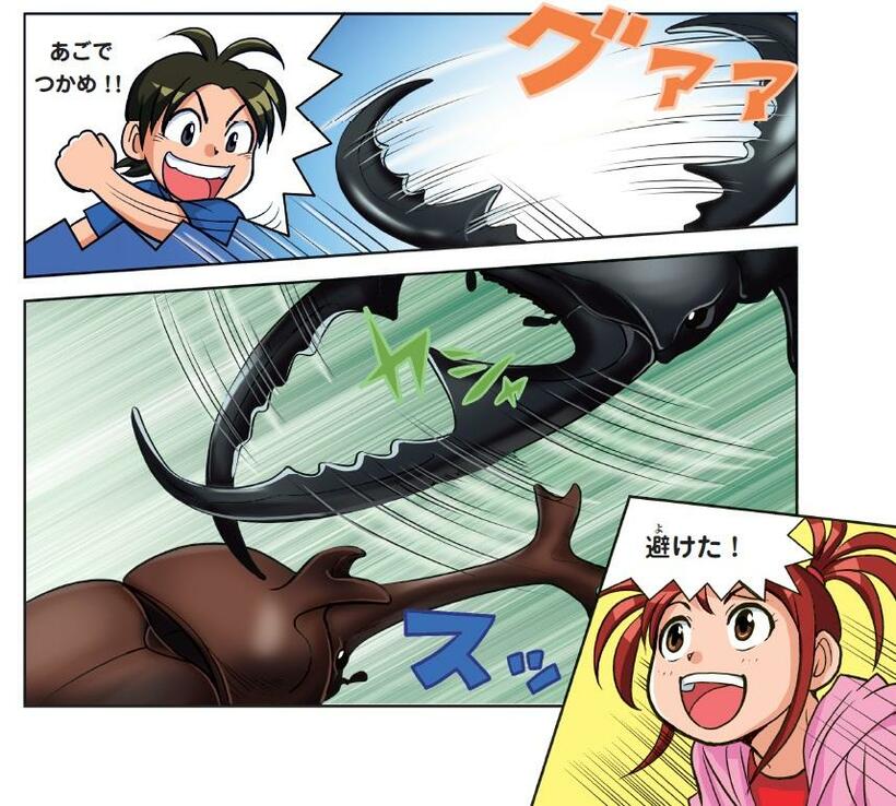 カブトムシはオオスズメバチには負けても、夜の樹液場ではナンバーワンの存在だ（『昆虫世界のサバイバル2』から）（c）朝日新聞出版