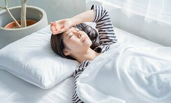 トコジラミ、今年の夏はドーンと増える「1匹でも持ち帰ればアウト」 50回刺された専門家の”うそ寝作戦”とは