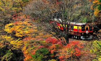 首都圏でも満喫できる「紅葉絶景路線」3選!