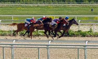 スマホ不正使用で競馬界に波紋　海外では“別の理由”で騎乗停止多い？ 日本ではありえない“大量処分”も