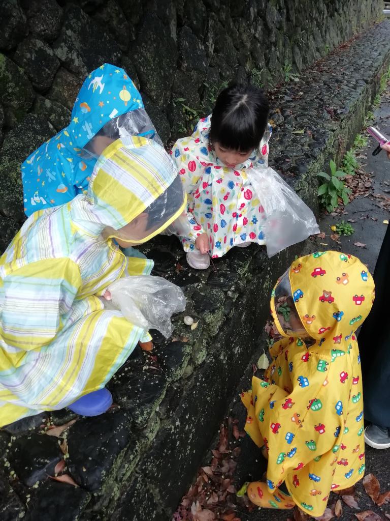 どんぐりの前に、カタツムリに夢中