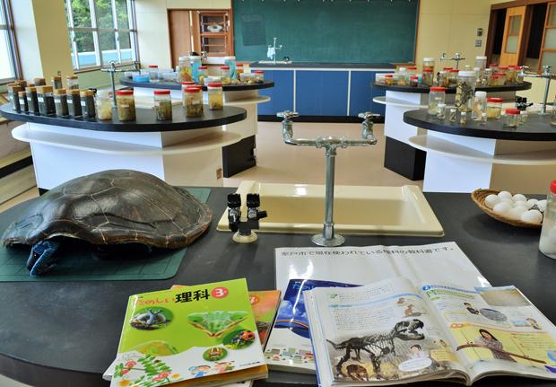理科の実験室では、日本ウミガメ協議会が保管してきた標本を展示。手前のカメの甲羅は背負うことができる