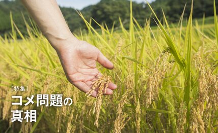 小泉農水相は改革者かハリボテか　農家「猛暑で『白米』はさらに減る」 生産量が発表より「70万トン」少ないカラクリ　