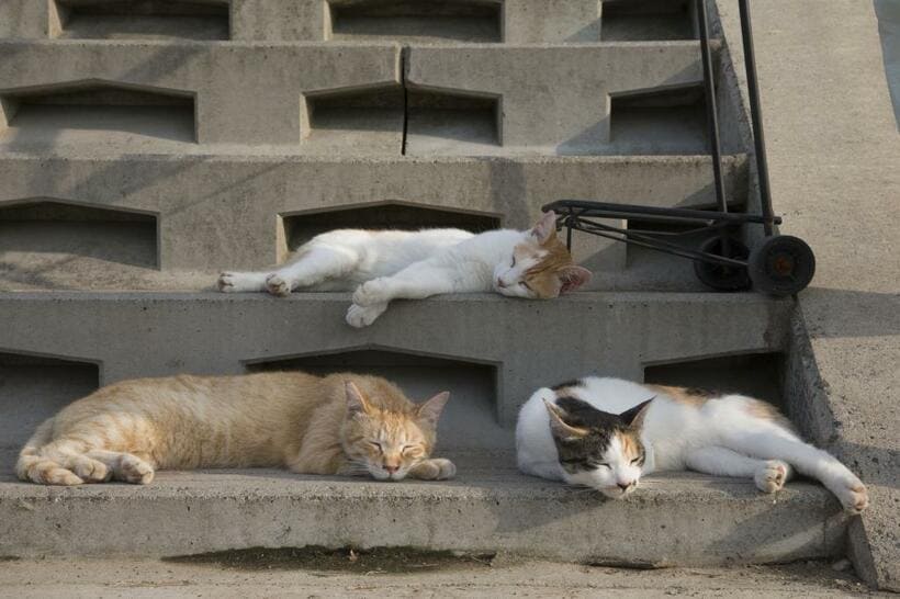 寝て忘れてしまおう。