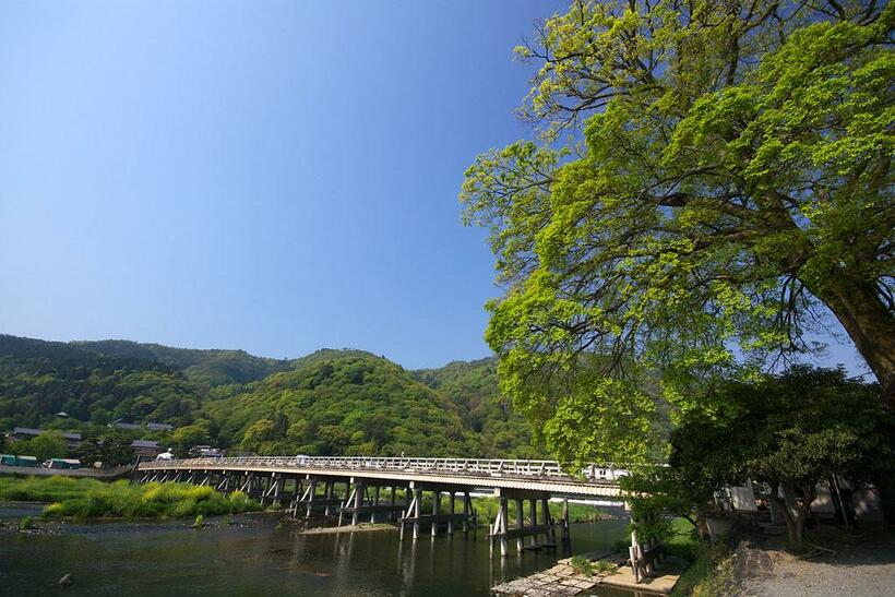 桂川のせせらぎが涼しい渡月橋（写真：「健康さんぽ　京都」）