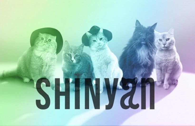 猫5匹組SHINyanデビュー、リーダー・オニュにゃん「SHINeeに負けにゃい」