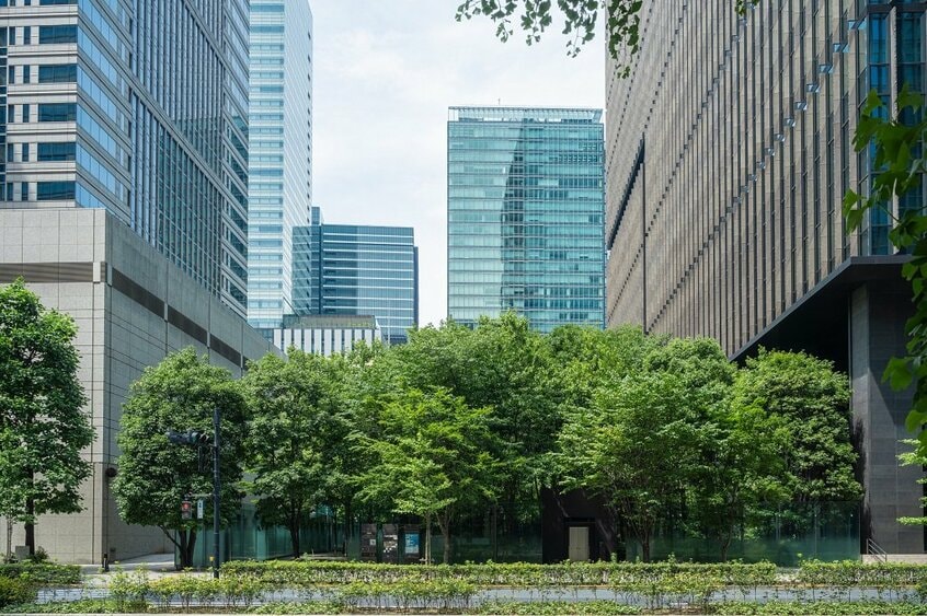 オフィス街のビルに囲まれた「大手町の森」の外観。「プレフォレスト」という手法で千葉県君津市の山林の樹木や土壌が丸ごと移された(写真:東京建物提供)