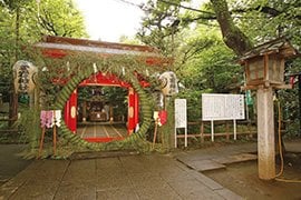 鳥居の前には、夏の風物詩・茅の輪が飾られていた