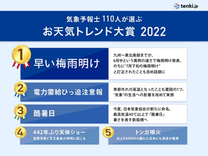 2022年のお天気トレンドランキング（部分順位法による点数制、気象予報士110名）